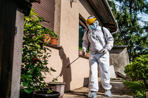 Best Residential Pest Control  in Hampton Manor, NY