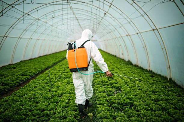 Best Residential Pest Control  in Hampton Manor, NY