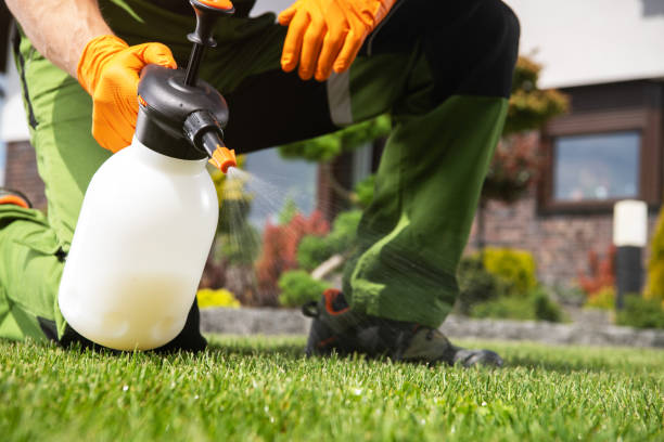Best Mosquito Control Services  in Hampton Manor, NY