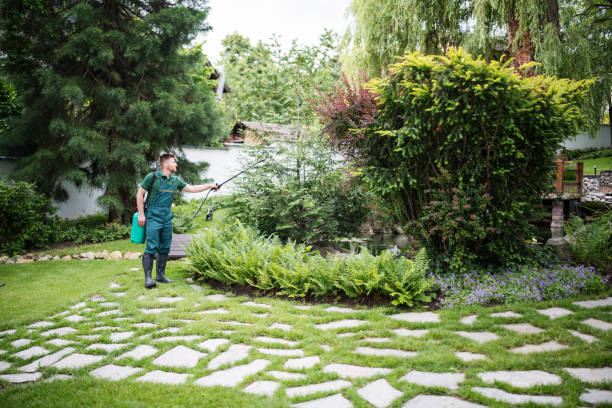 Best Local Pest Control Services  in Hampton Manor, NY