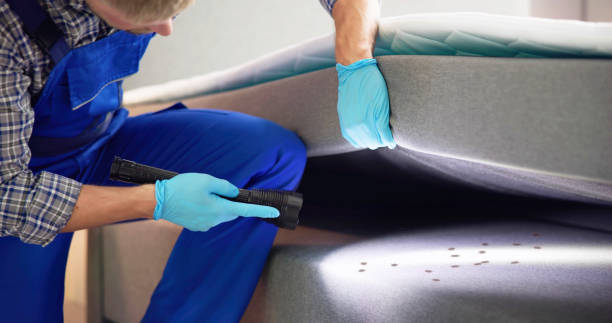 Best Flea Control Services  in Hampton Manor, NY