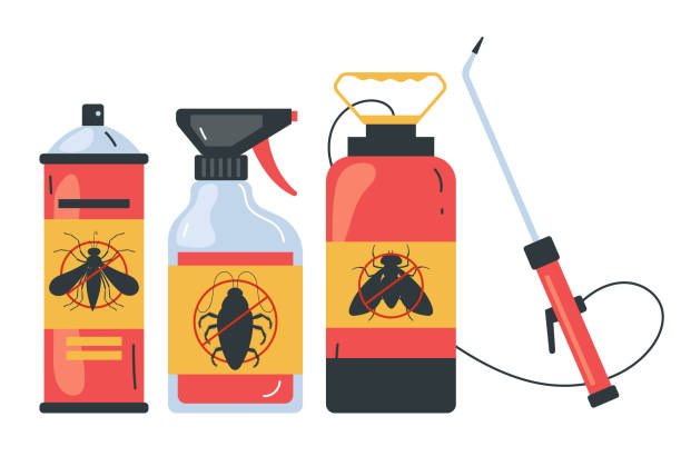 Best Bed Bug Extermination  in Hampton Manor, NY
