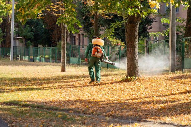 Best Emergency Pest Control  in Hampton Manor, NY