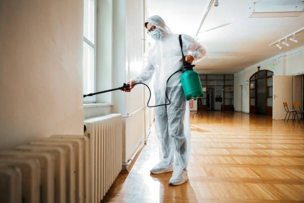 Best Flea Control Services  in Hampton Manor, NY