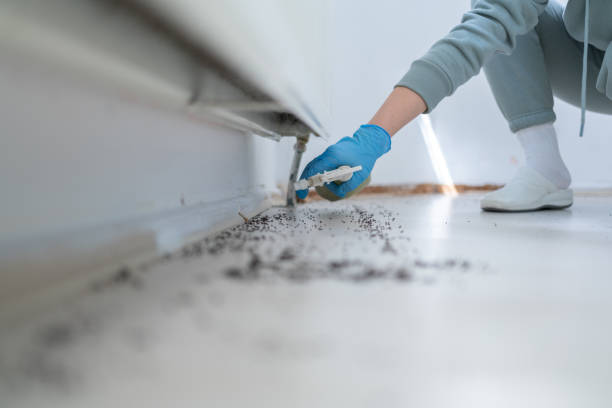 Best Pest Control for Homes  in Hampton Manor, NY